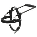 Guide Dog Harness Hilason Black Padded Genuine Leather Harness