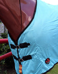 Hilason Western Horse Fly Sheet Uv Protect Mesh Bug Mosquito Summer Spring Turquoise