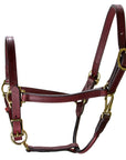 Hilason Western Horse Comfortable & Flexible Halter 3/4 In Width Genuine Leather