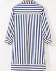 Stripe Buttoned Collar Side Pockets Mini Dress