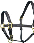 ExionPro Fancy Stitched Leather Halter - Brass Hardware