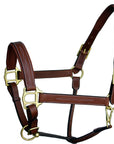 ExionPro Fancy Stitched Leather Halter - Brass Hardware