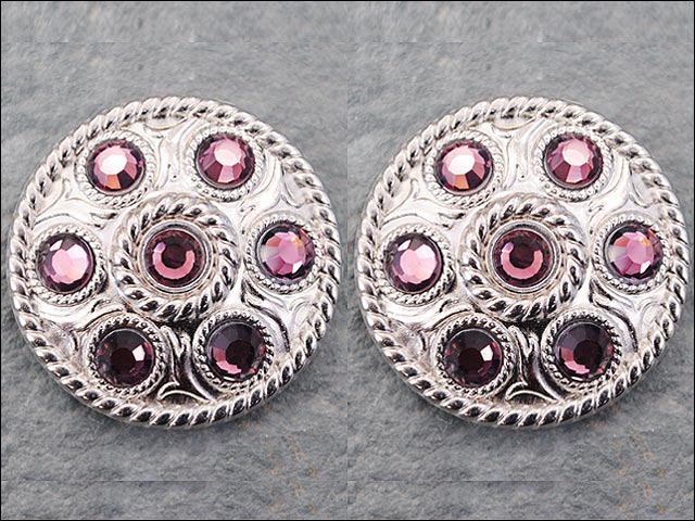 Western Screw Back Concho1 Purple Crystal Wheel Bling Headstall Cowgirl