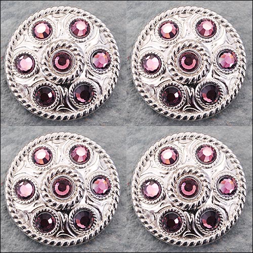 Western Screw Back Concho1 Purple Crystal Wheel Bling Headstall Cowgirl