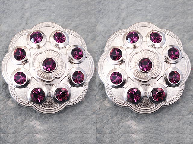 Western Screw Back Conchopurple Crystal Floral Bling Headstall Cowgirl