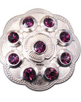 Western Screw Back Conchopurple Crystal Floral Bling Headstall Cowgirl