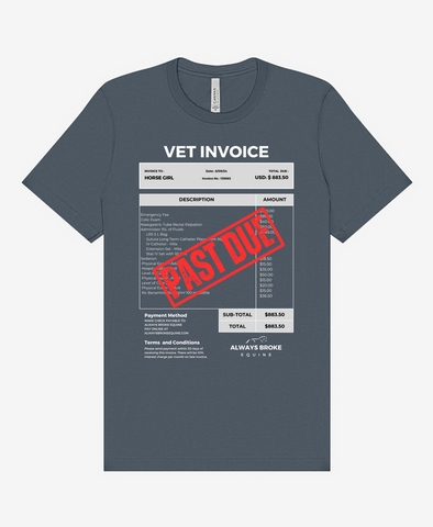 PAST DUE VET INVOICE TEE