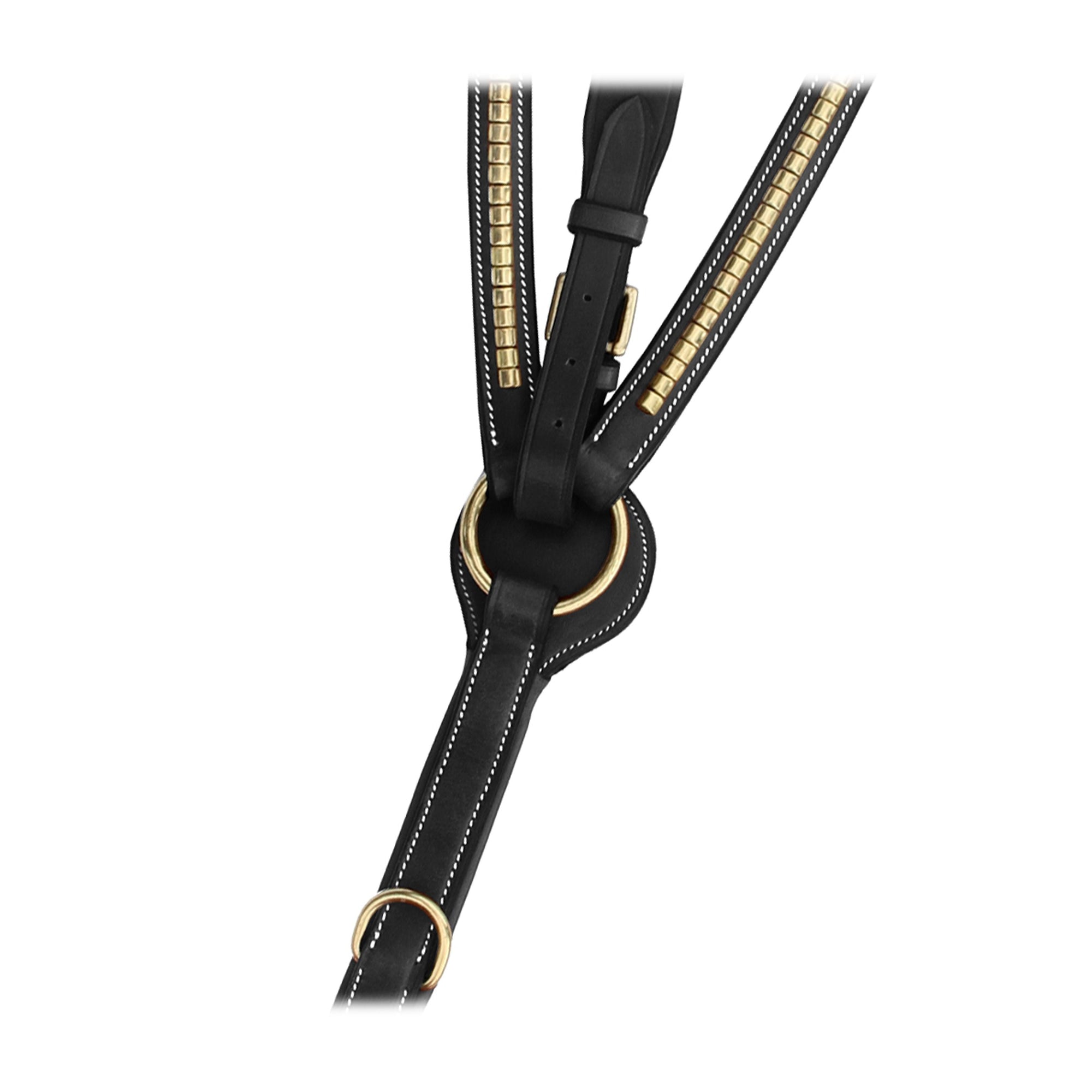ExionPro Brass Clincher Breastplate
