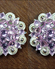 Rose Crystals Berry Headstall Saddle Tack Cowgirl Hilason