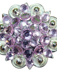 Rose Crystals Berry Headstall Saddle Tack Cowgirl Hilason