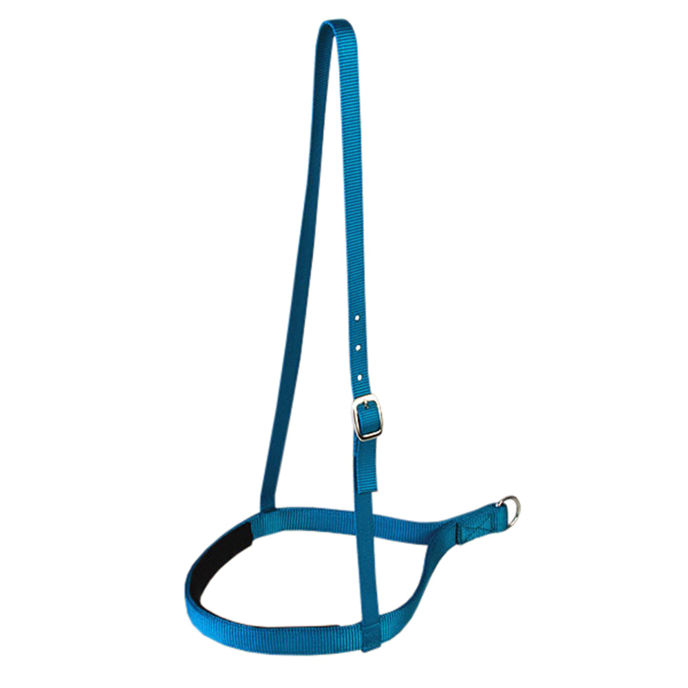 Hilason W. Double Ply H. Nylon Noseband Black – Hilason