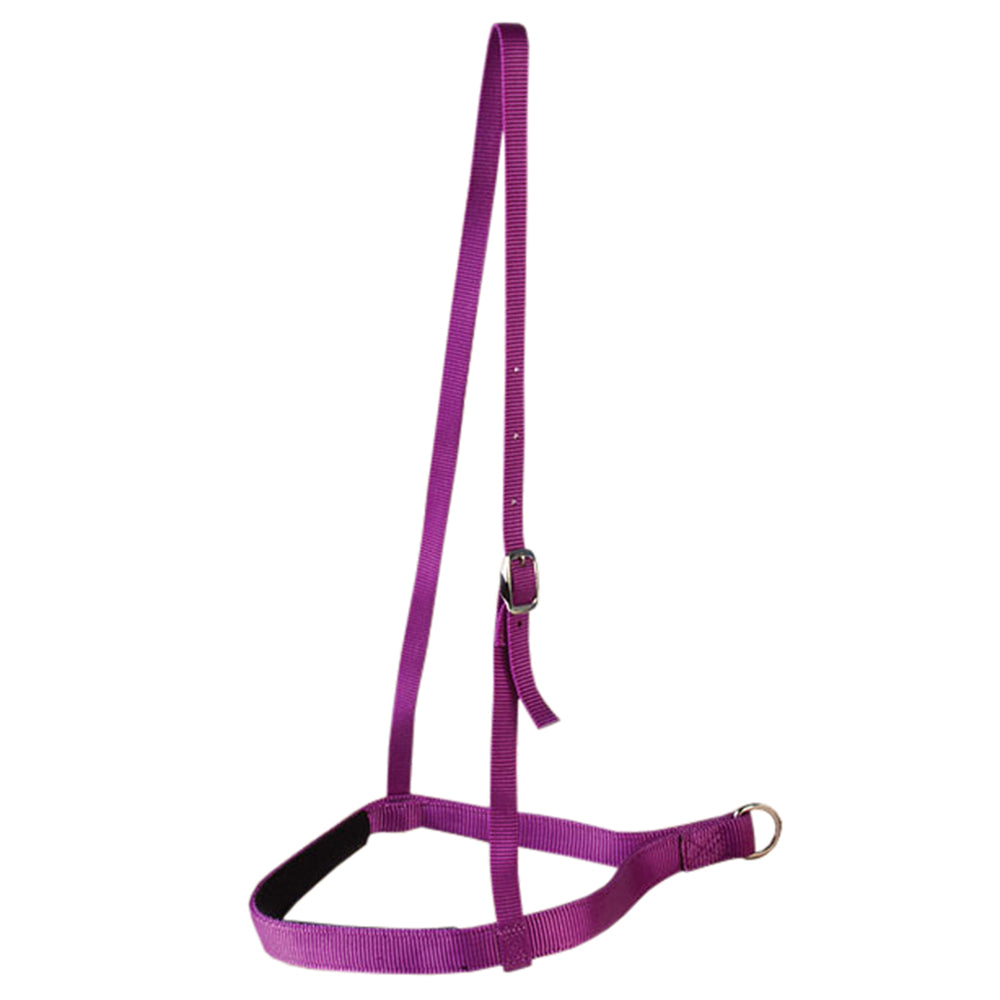 Hilason W. Double Ply H. Nylon Noseband Black – Hilason
