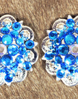 Capri Blue Ab Crystals Berry Headstall Saddle Tack Bling Hilason
