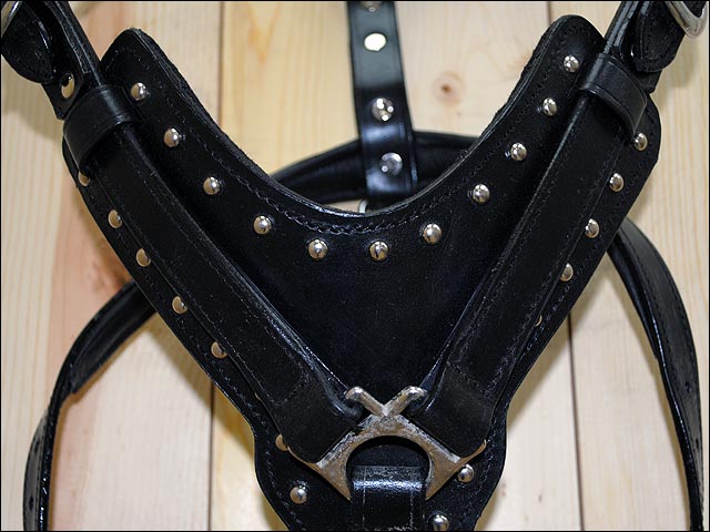 HILASON Genuine Leather Dog Harness Padded Heavy Duty &amp; Comfortable Fit