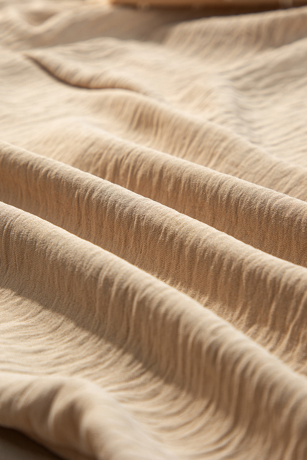 Solid Swiss Dot Balloon Sleeve Blouse