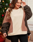 Brown Exposed Seam Colorblock Plus Size Hoodie