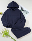 Solid Reverse Seams Hoodie and Joggers Set