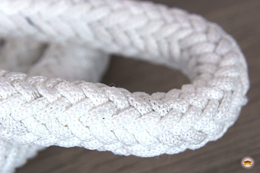 Hilason Horse Riding Poly Lead Rope Blue Tan  1&quot; X 9 Ft.