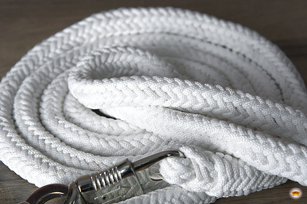 Hilason Horse Riding Poly Lead Rope Blue Tan  1&quot; X 9 Ft.