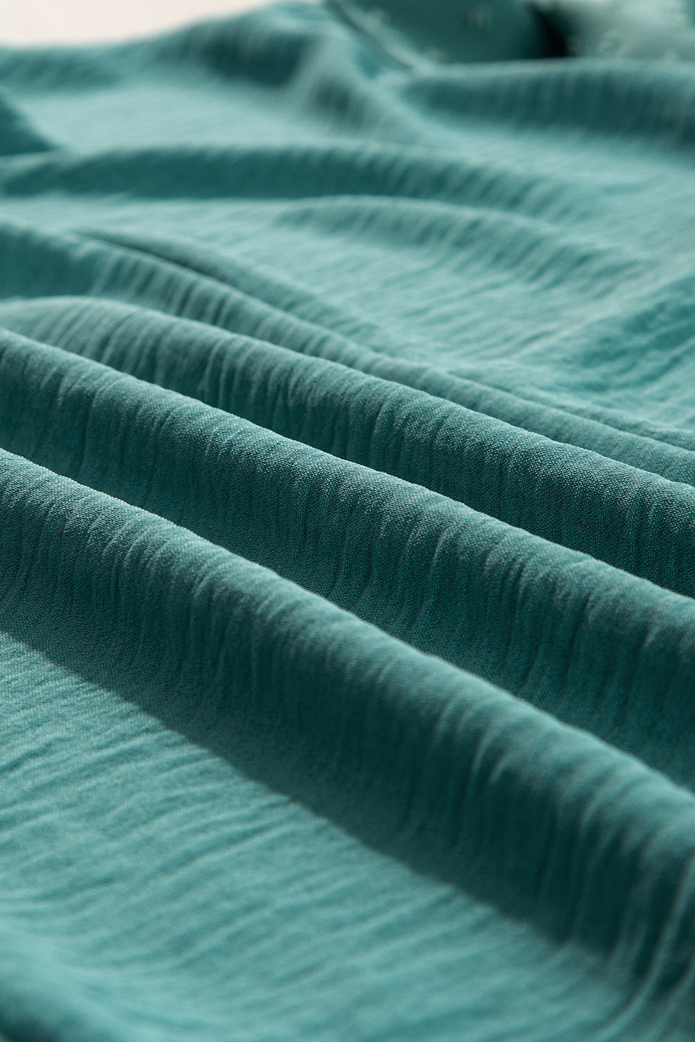 Solid Swiss Dot Balloon Sleeve Blouse