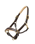 Sierra Brown Leather Halter