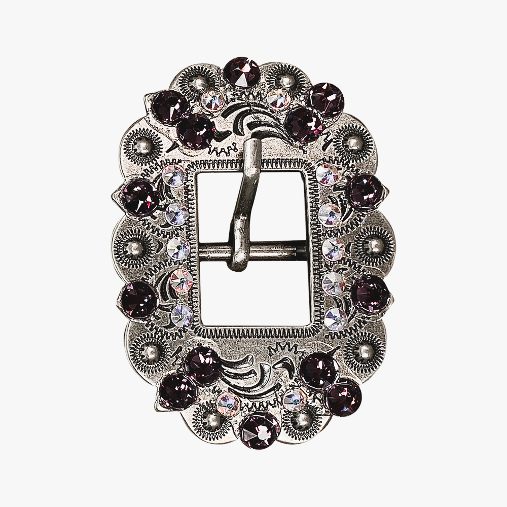 Antique Silver Amethyst, AB Crystal Conchos - Sizes from 1&quot;- 3&quot; and Buckles
