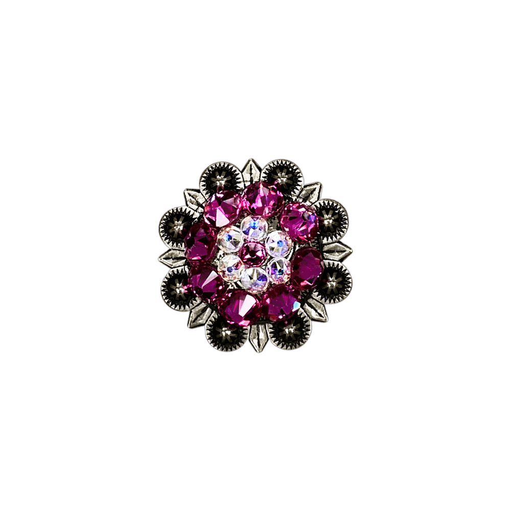 Fuchsia &amp; AB Antique Silver 1.25&quot; European Crystal Concho