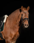 Geneva - Black Patent Snaffle Bridle with Metallic Gold Piping with Removable Flash