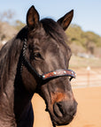 Black Mule Tape Halter -Turquoise Cabochon 