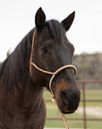 Brown and Tan Mule Tape Halter with Lariat Noseband