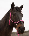Pink and Black Mule Tape Halter with Lariat Noseband