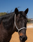 Grey and White Mule Tape Halter with Lariat Noseband