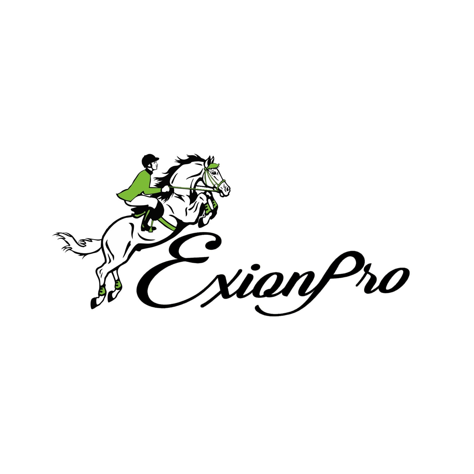 ExionPro &#39;Ursa&#39; Anatomic Dressage Bridle With Reins