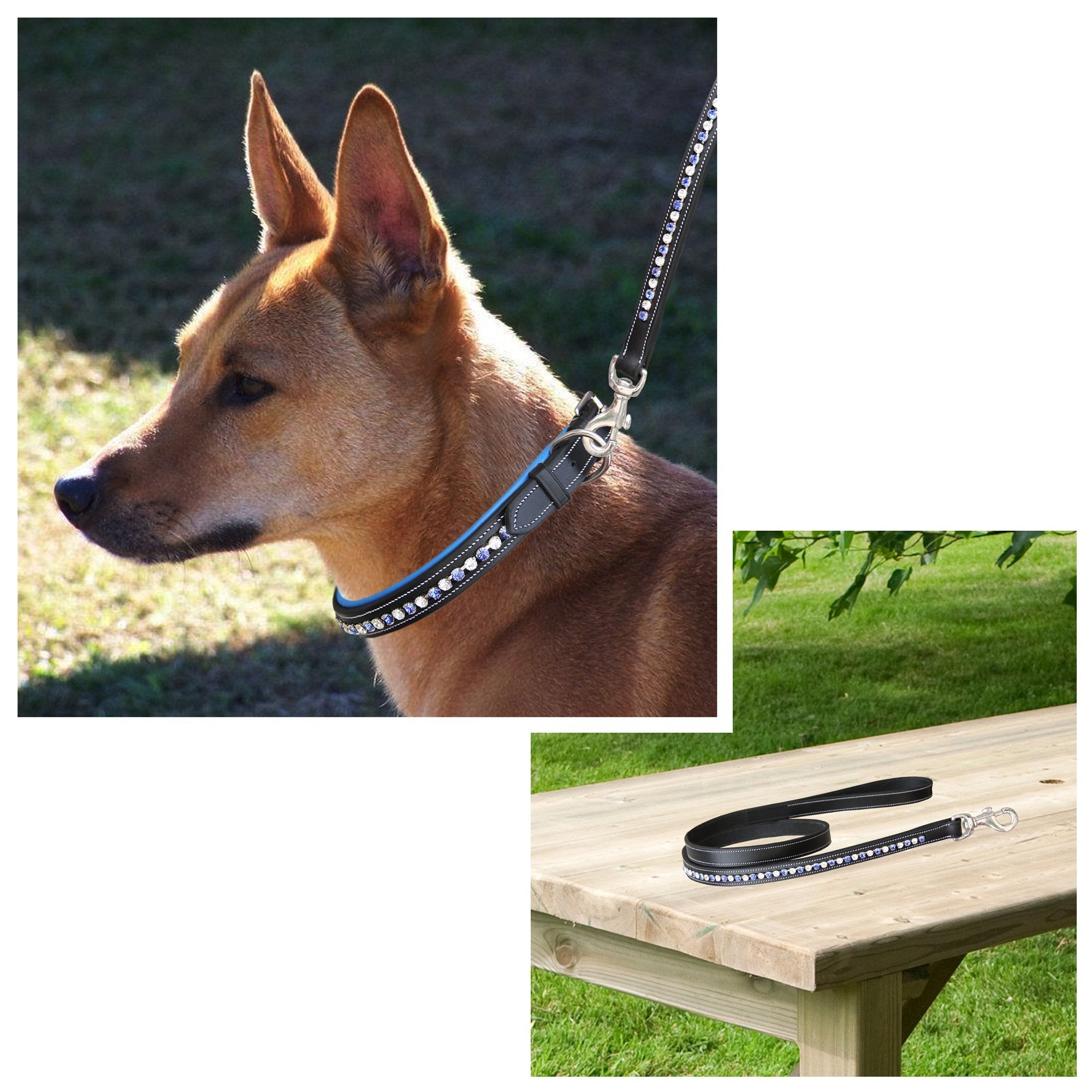 ExionPro White &amp; Blue Bling Dog Collar With Leash