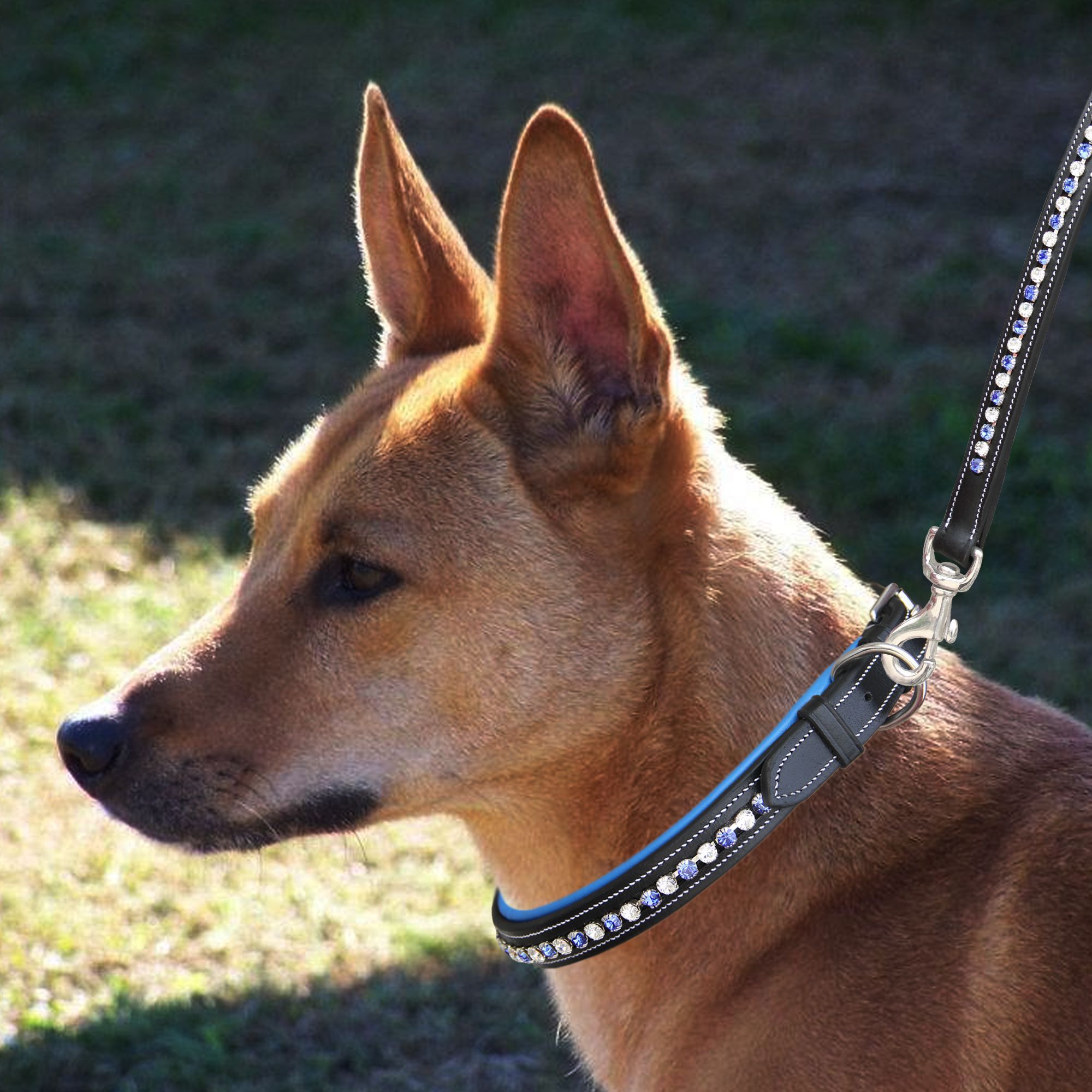 ExionPro White &amp; Blue Bling Dog Collar