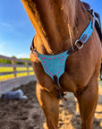 Pink on Turquoise BuckStich Betty Bikini Breast Collar