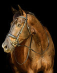 Vento Black Patent Snaffle Bridle