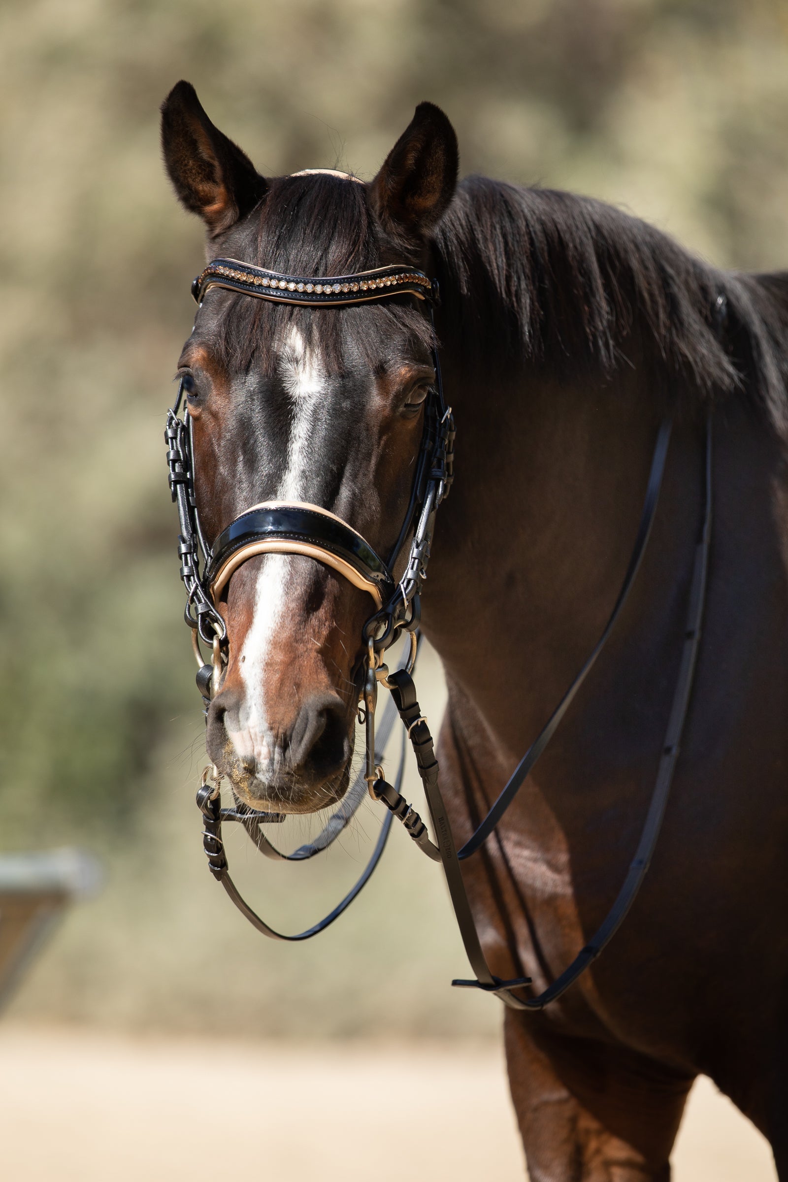 The Thea - Black Patent Leather Double with Cream Padding &amp; Rose Gold Piping