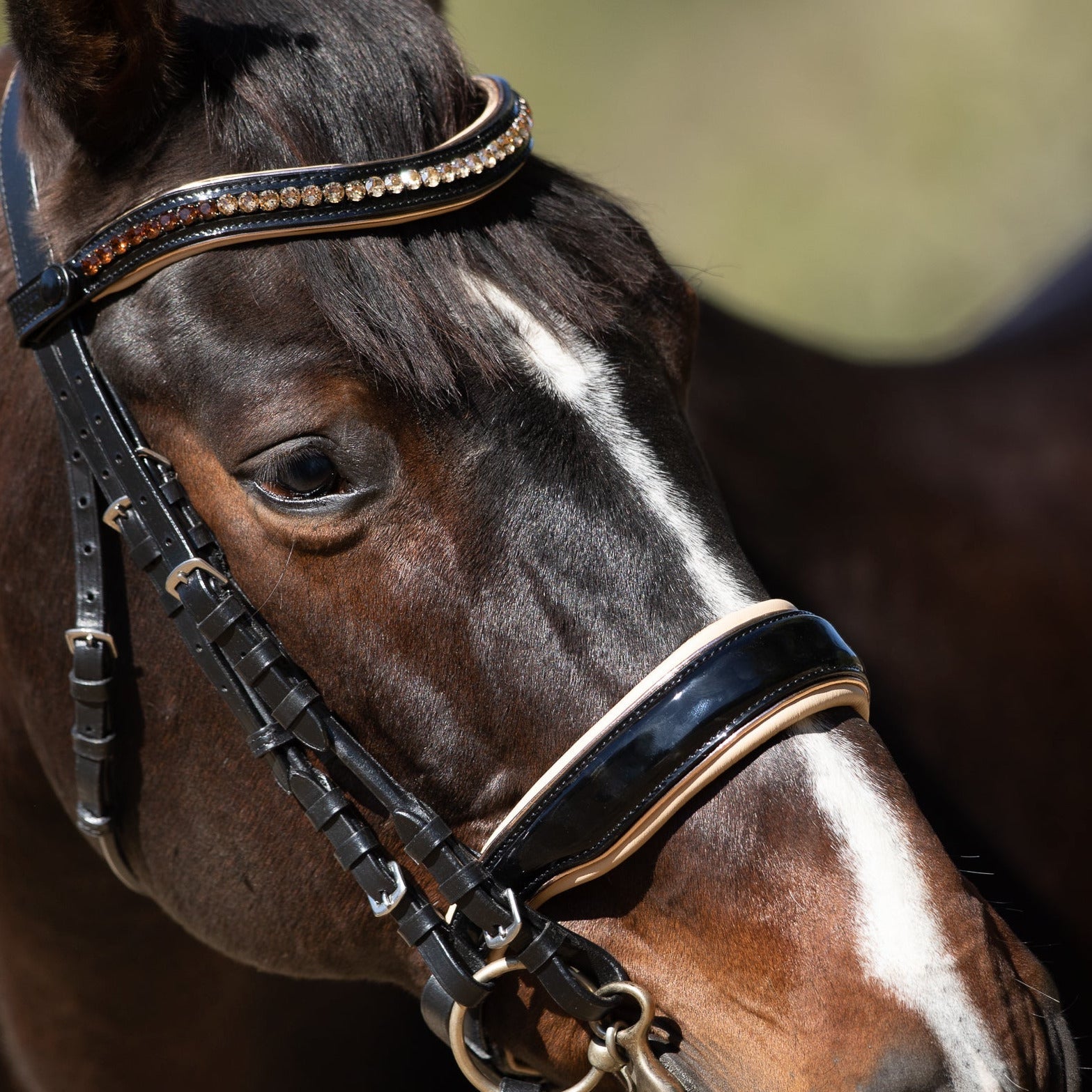 The Thea - Black Patent Leather Double with Cream Padding &amp; Rose Gold Piping