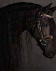 The Champagne Black Leather Snaffle Bridle