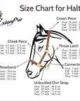 ExionPro Fancy Stitched Leather Halter - Brass Nickel Hardware