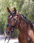 The Palermo Black Patent Leather Snaffle with Brown Padding