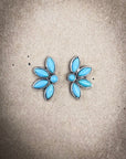 Brooks Stud Fashion Earrings