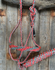 Coral and Grey Mule Tape Halter