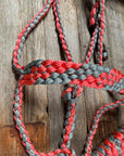 Coral and Grey Mule Tape Halter