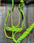 Mule Tape Halters - Two Tone Assorted Colors-