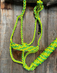Yellow and Lime Mule Tape Halter