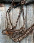 Brown Mule Tape Halter