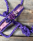 Purple Mule Tape Halter - Purple Roses 