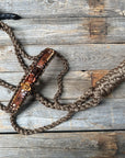 Brown Mule Tape Halter - Multi Colored Roses 
